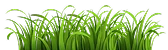Footer Element