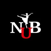 Özel Nilüfer Uğur Bale Kursu logosu