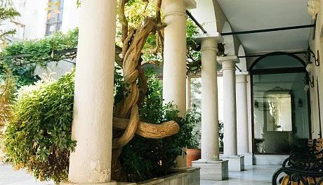 Sosyal yaşam