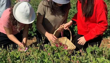Sosyal yaşam