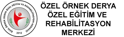 Özel Örnek Derya Özel Eğitim Ve Rehabilitasyon Merkezi logosu