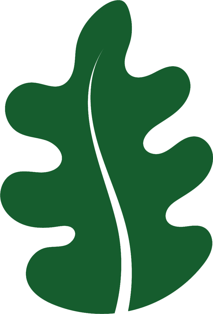 Kampüs