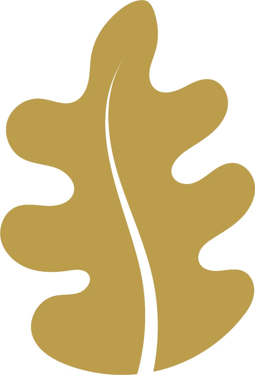 Kampüs