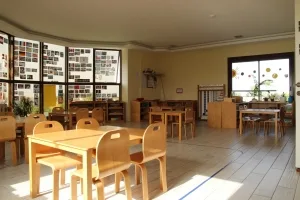 Sosyal yaşam