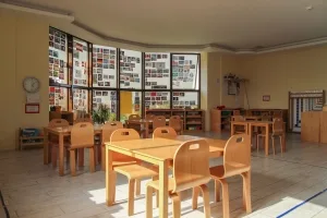 Sosyal yaşam