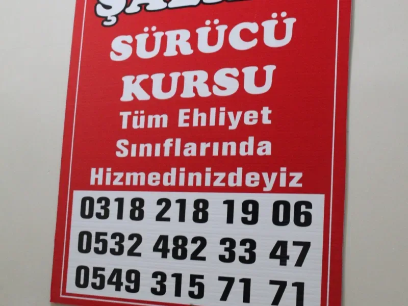 Sosyal yaşam