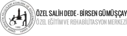 Özel Salih Dede-birsen Gümüşçay Özel Eğitim Ve Rehabilitasyon Merkezi logosu