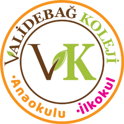 Özel Sancaktepe Validebağ İlkokulu logosu