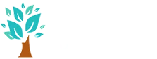 Eğitim