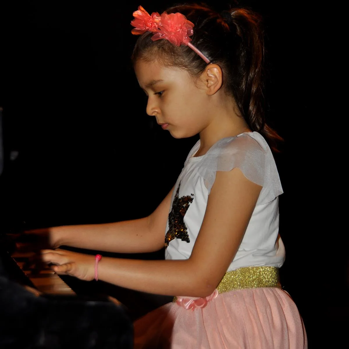 ENSTRUMAN KONSERLERİ