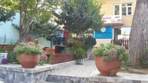 Sosyal yaşam