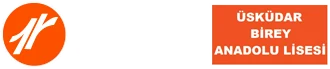 Özel Üsküdar Birey Anadolu Lisesi logosu