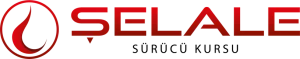 Özel Yeni Şelale İncesu Gönenkent Motorlu Taşıt Sürücüleri Kursu logosu