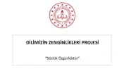 Sosyal yaşam