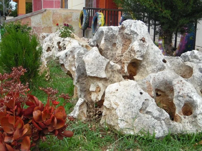 Sosyal yaşam