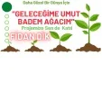Sosyal yaşam