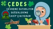 Sosyal yaşam