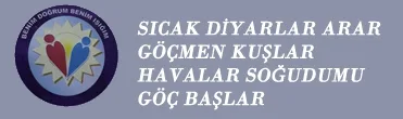 Sosyal yaşam